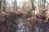 photo of Holmes Brook in Marion.