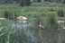Spragues Cove photo thumbnail 1