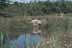 photo of 