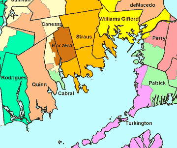 state rep maps