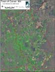MA DEP Core wetlands in Carver, MA