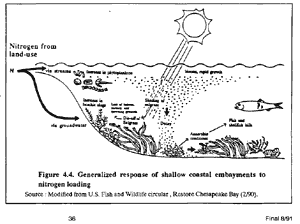 Generalized ecosystem response to nitrogen loading.
