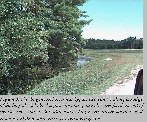 bypass canal in Wareham, MA