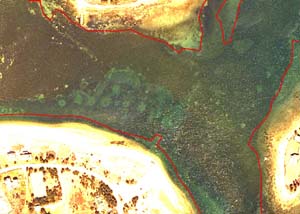 Mooring chain scars in outer West Falmouth Harbor in March 2005