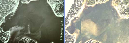 Eelgrass distribution in Buttermilk Bay 1951 versus 1994.