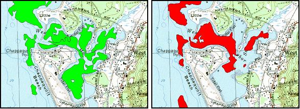 Costa versus DEP eelgrass in Falmouth Costa versus DEP eelgrass in Falmouth