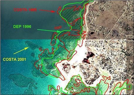 Eelgrass surveys near the mouth of West Falmouth Harbors