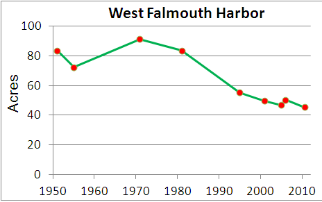 Eelgrass cover over time in West Falmouth