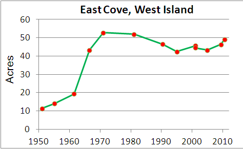 Eelgrass cover over time in West Island Cove
