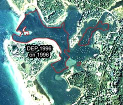 Eelgrass in West Falmouth Harbor, DEP 1996