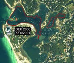 Eelgrass in West Falmouth Harbor, 7 June 2001