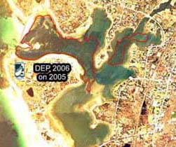 Eelgrass in West Falmouth Harbor, about in 2006