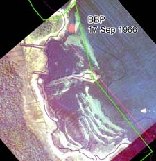 17 September 1966 Eelgrass in East Cove West Island Fairhaven
