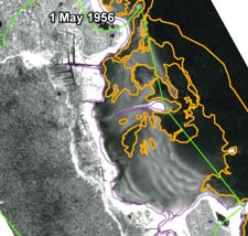 Aerial photo of 1 May 1956 showing eelgrass in East Cove West Island Fairhaven