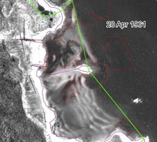 20 April 1961 Eelgrass in East Cove West Island Fairhaven