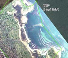 BBP estimate of eelgrass cover for 8 October 1971 image of East Cove West Island