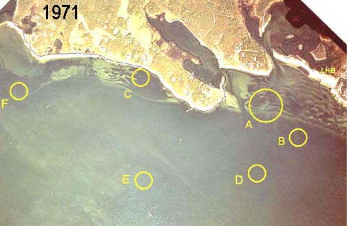 Aerial view of Great Neck taken September 1971