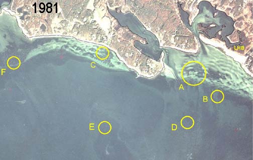 Aerial view of Great Neck taken October 1981