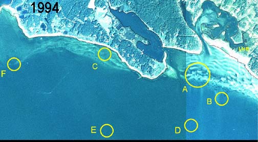 Aerial view of Great Neck taken September 1994