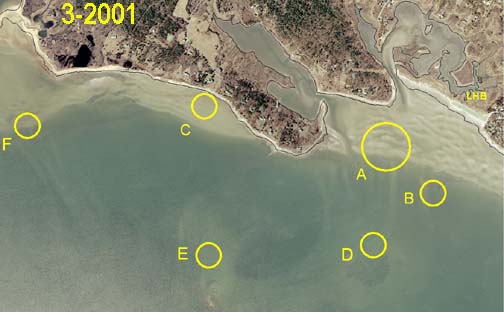 Aerial view of Great Neck taken March 2001