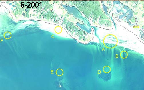 Aerial view of Great Neck taken June 2001