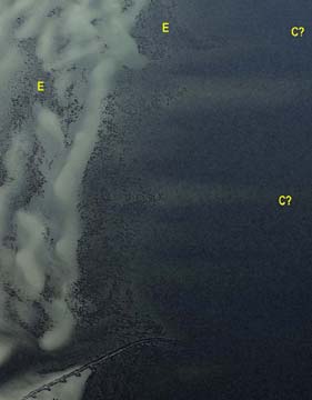Detail of Oblique Aerial view of Little Harbor Beach taken April 10, 2003