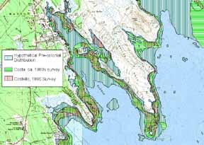 Historical eelgrass in Marion