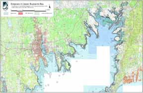 Historical eelgrass in Upper Buzzards Bay