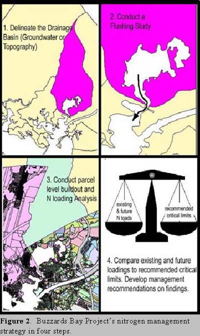 Little Bay Report Figure 1
