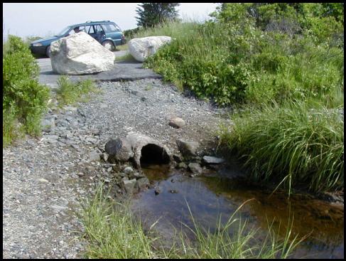 Winsegansett Marsh Before. Winsegansett Marsh Before.