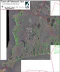 MA DEP Core wetlands in Falmouth, MA