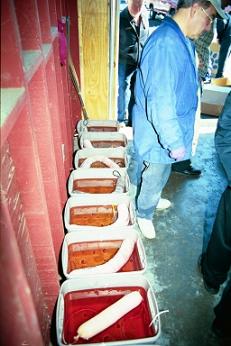 Bilge sock testing photo.