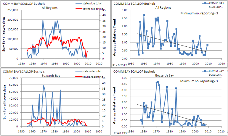 commercial bay scallop trends