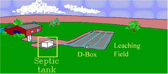 Conventional Septic System