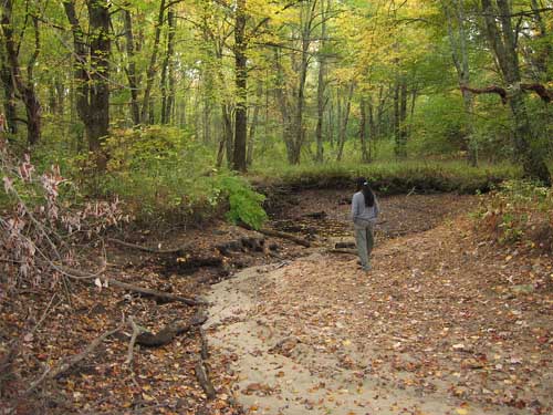 Mattapoisett River Runs Dry in 2007.
