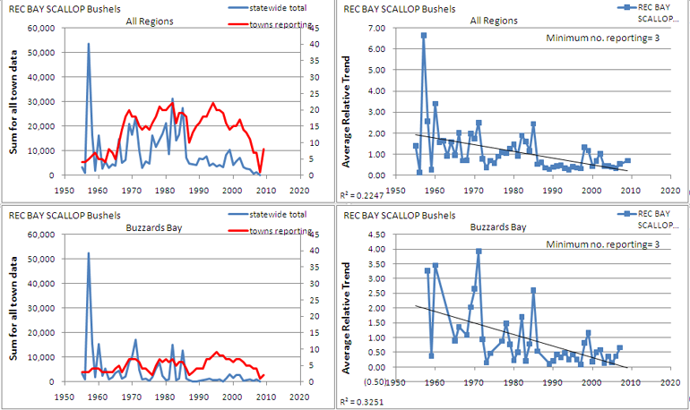 recreational bay scallop trends