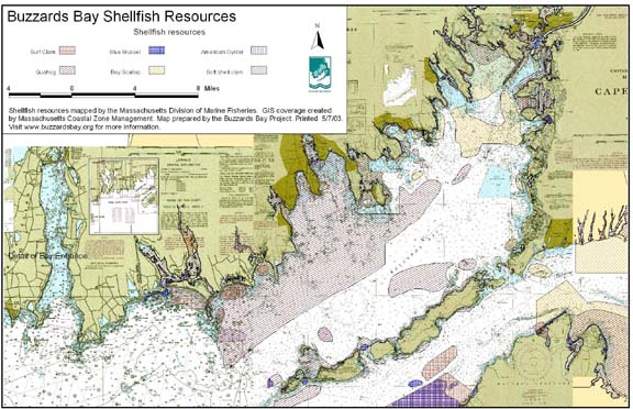 Map of shellfish resources in Buzzards Bay, click for more detailed map.