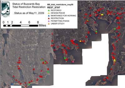 salt marsh restriction status map