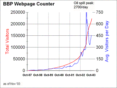 BBNEP website traffic