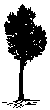 Fairhaven-Acushnet Land Preservation Trust lands trust logo Fairhaven-Acushnet Land Preservation Trust lands trust logo