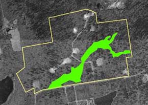 original wetlands delineation at Holly Woods