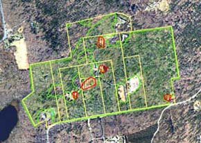 Wetlands delineation by the DEP wetlands Conservancy program based on interpretation of aerial photographs.