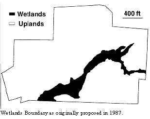 original wetlands delineation at Holly Woods