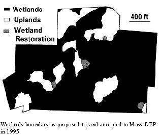 final wetlands delineation at Holly Woods