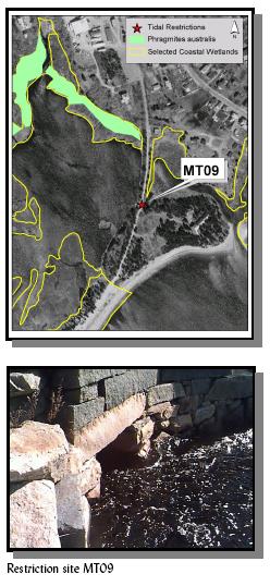 Graphic from from Buzzards Bay impaired salt marsh atlas.