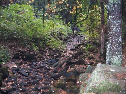 Mattapoisett River on October 12, 2007