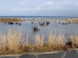 Damaged seawall on Gardner Road, woods Hole