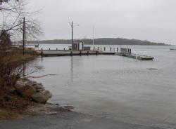 High water levels in West Falmouth Harbor, along old dock road.