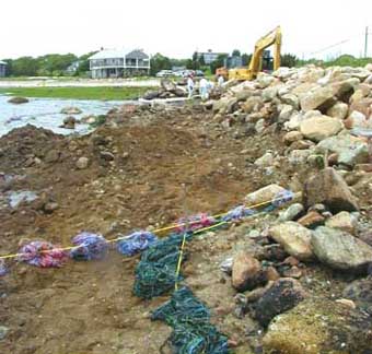 Crescent Beach, Mattapoisett oiled.