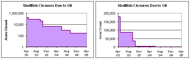Graph of oil spill shellfish bed closures in Buzzards Bay over time.
